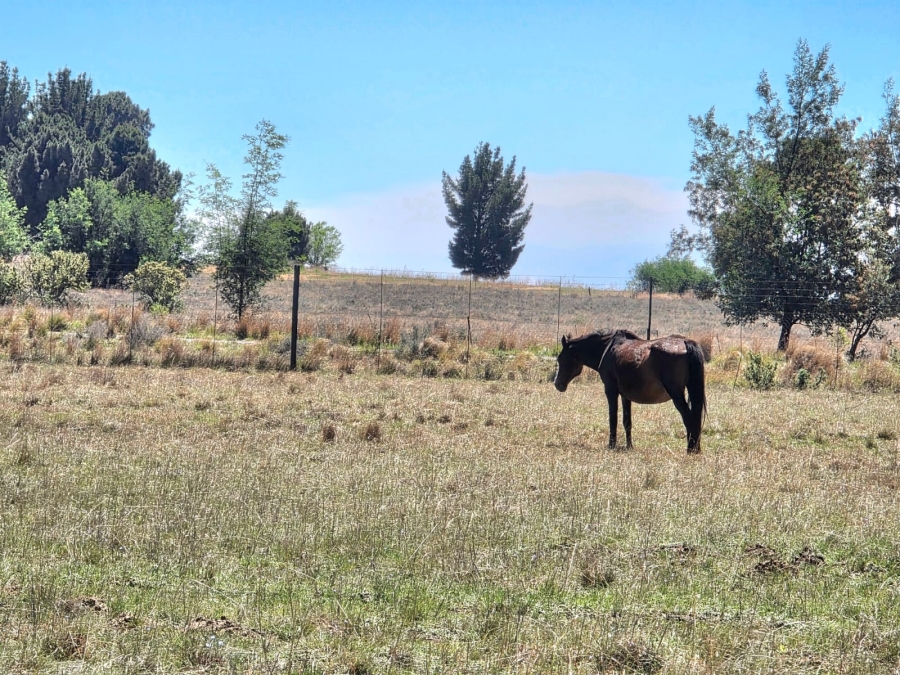 8 Bedroom Property for Sale in Bethlehem Rural Free State